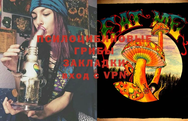 кокс Арсеньев