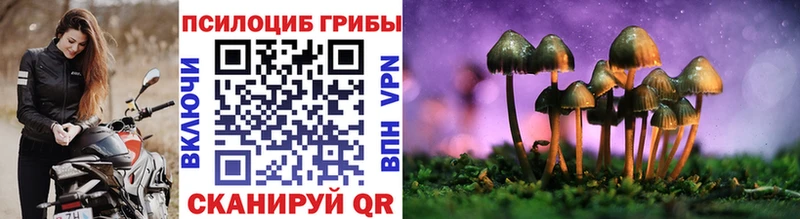 Галлюциногенные грибы Psilocybine cubensis  закладки  Пыталово 